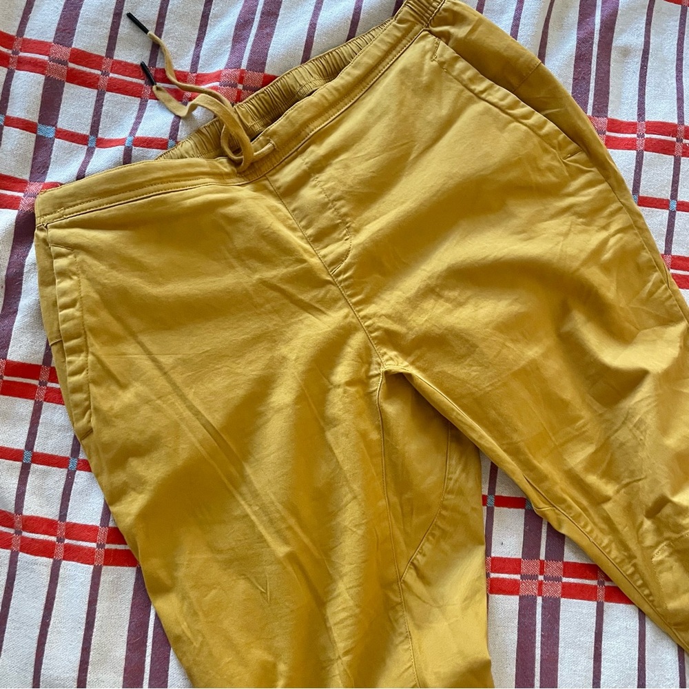 Black Diamond Notion Pants